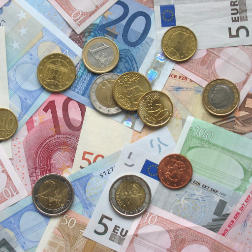 Euro: budżety do oceny