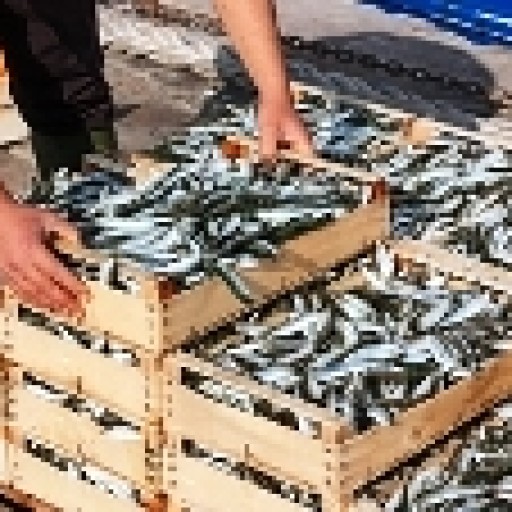 Rybołówstwo nadal ze wsparciem UE