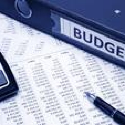 Dane pomocne dla budżetu